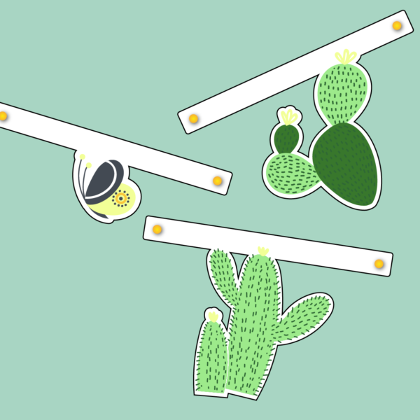 Guirnalda Cactus